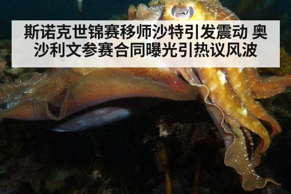 斯诺克世锦赛移师沙特引发震动 奥沙利文参赛合同曝光引热议风波
